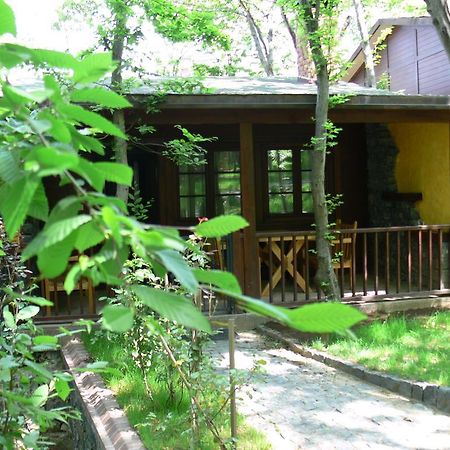 Dolunay Fanizan Hotel Fatsa ภายนอก รูปภาพ